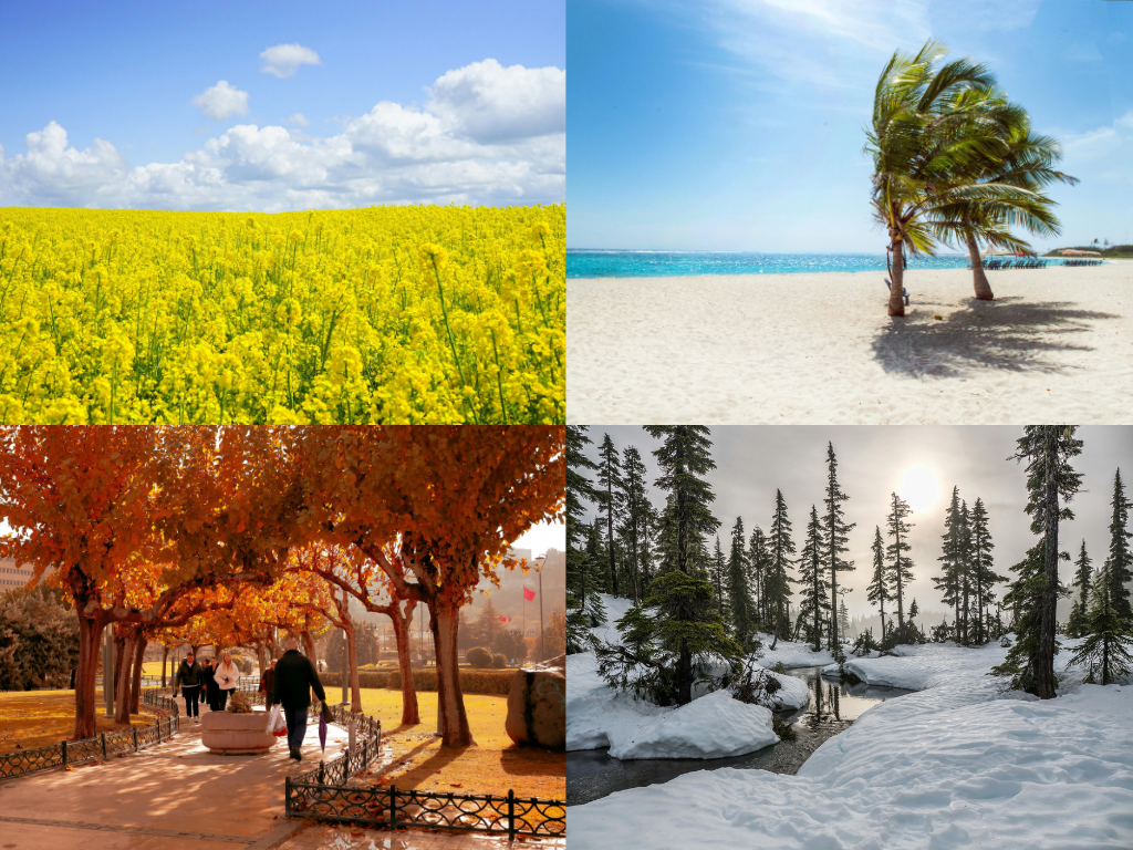 Design sans titre 11