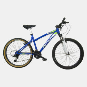 VTT Homme ROCKRIDER bleu