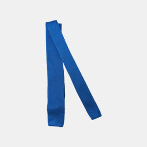 Cravate Homme Bleu