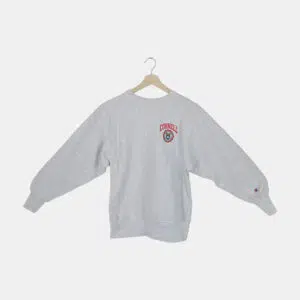 Pull Homme CHAMPION Gris L/48