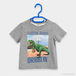 T-shirt Garçon H&M Gris 2 ans/92cm